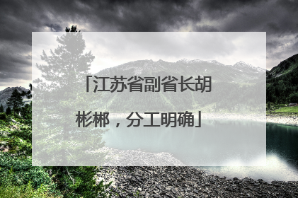 江苏省副省长胡彬郴，分工明确