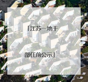 江苏一地干部任前公示