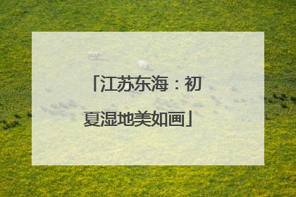 江苏东海：初夏湿地美如画