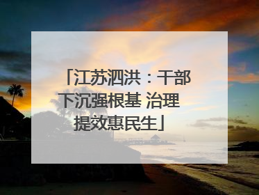 江苏泗洪：干部下沉强根基 治理提效惠民生