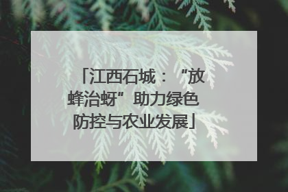 江西石城：“放蜂治蚜”助力绿色防控与农业发展