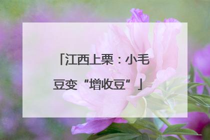 江西上栗：小毛豆变“增收豆”