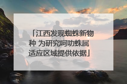江西发现蜘蛛新物种 为研究呵叻蛛属适应区域提供依据