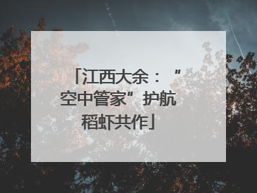 江西大余：“空中管家”护航稻虾共作