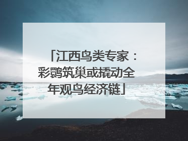 江西鸟类专家：彩鹮筑巢或撬动全年观鸟经济链