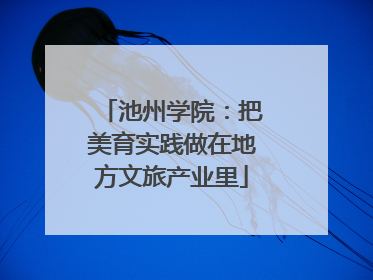 池州学院：把美育实践做在地方文旅产业里