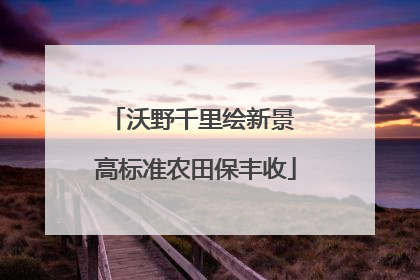 沃野千里绘新景 高标准农田保丰收