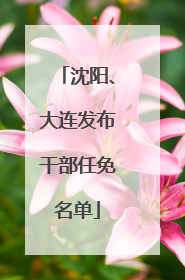 沈阳、大连发布干部任免名单