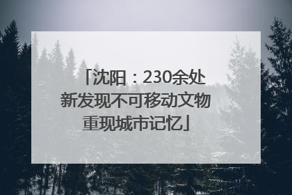 沈阳：230余处新发现不可移动文物重现城市记忆