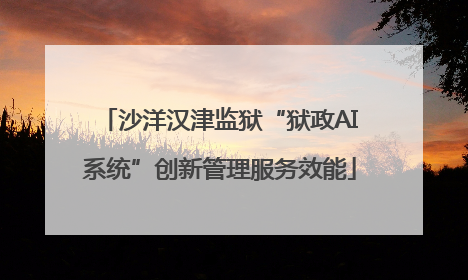 沙洋汉津监狱“狱政AI系统”创新管理服务效能
