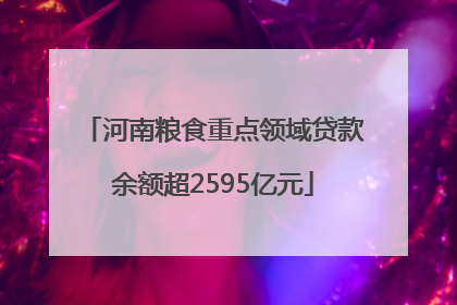 河南粮食重点领域贷款余额超2595亿元