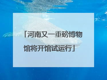 河南又一重磅博物馆将开馆试运行