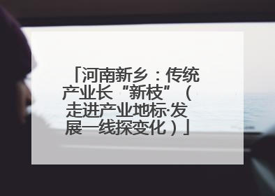 河南新乡：传统产业长“新枝”（走进产业地标·发展一线探变化）