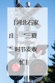 河北石家庄：“三夏”时节麦收忙