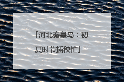 河北秦皇岛：初夏时节插秧忙