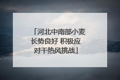 河北中南部小麦长势良好 积极应对干热风挑战
