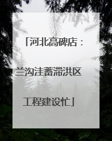 河北高碑店：兰沟洼蓄滞洪区工程建设忙