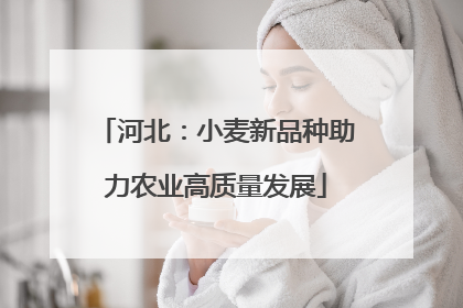 河北：小麦新品种助力农业高质量发展
