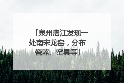 泉州洛江发现一处南宋龙窑，分布瓷器、窑具等
