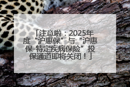 注意啦：2025年度“沪惠保”与“沪惠保-特定疾病保险”投保通道即将关闭！
