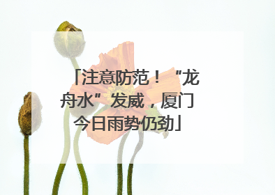 注意防范！“龙舟水”发威，厦门今日雨势仍劲