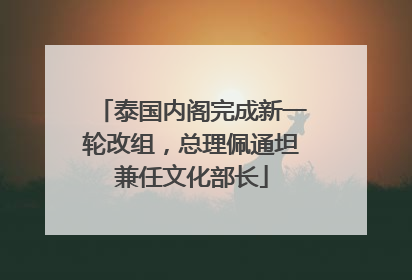 泰国内阁完成新一轮改组，总理佩通坦兼任文化部长