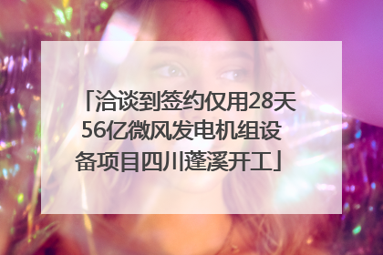 洽谈到签约仅用28天 56亿微风发电机组设备项目四川蓬溪开工