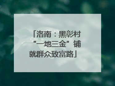 洛南：黑彰村“一地三金”铺就群众致富路