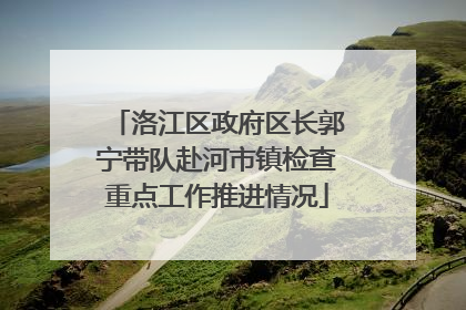 洛江区政府区长郭宁带队赴河市镇检查重点工作推进情况