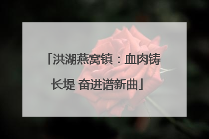 洪湖燕窝镇：血肉铸长堤 奋进谱新曲
