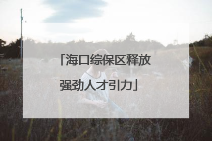 海口综保区释放强劲人才引力
