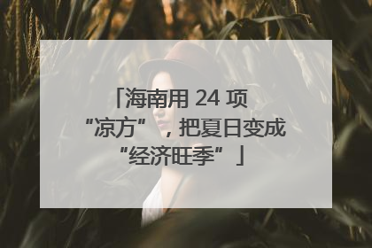 海南用 24 项 “凉方”，把夏日变成 “经济旺季”