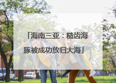 海南三亚：糙齿海豚被成功放归大海
