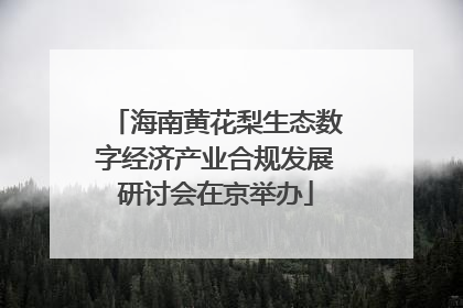 海南黄花梨生态数字经济产业合规发展研讨会在京举办