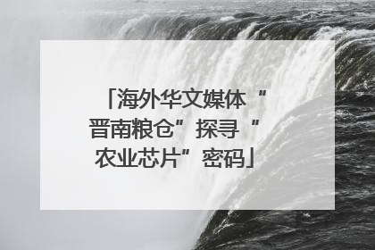海外华文媒体“晋南粮仓”探寻“农业芯片”密码