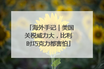 海外手记｜美国关税威力大，比利时巧克力都害怕
