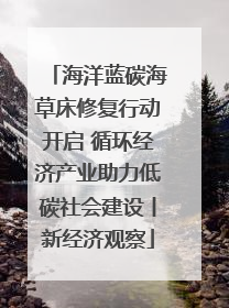 海洋蓝碳海草床修复行动开启 循环经济产业助力低碳社会建设丨新经济观察
