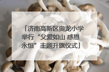 济南高新区奥龙小学举行“父爱如山 感恩永恒”主题升旗仪式