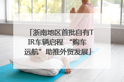 浙南地区首批自有TIR车辆启程 “购车远航”助推外贸发展