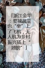 浙江金华：婺城蔬菜也“坐”上了飞机，无人机为乡村振兴插上“翅膀”