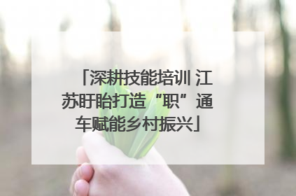 深耕技能培训 江苏盱眙打造“职”通车赋能乡村振兴