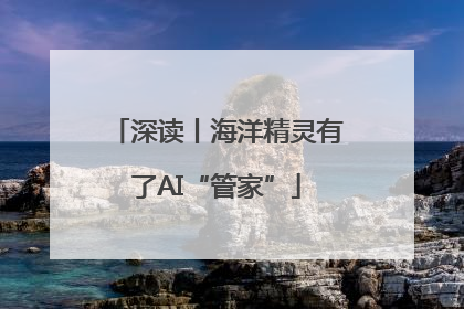 深读丨海洋精灵有了AI“管家”