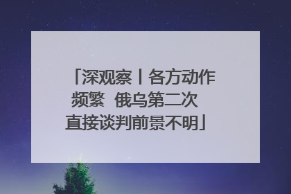 深观察丨各方动作频繁  俄乌第二次直接谈判前景不明