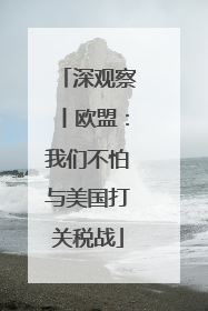 深观察丨欧盟：我们不怕与美国打关税战