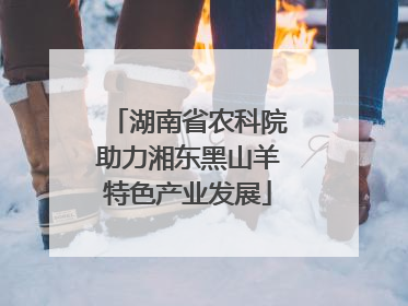 湖南省农科院助力湘东黑山羊特色产业发展