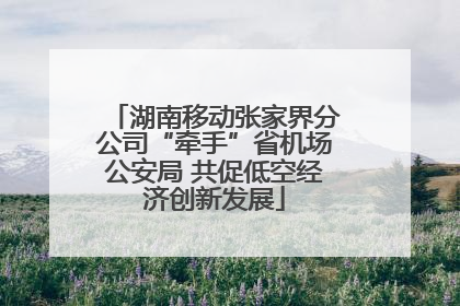 湖南移动张家界分公司“牵手”省机场公安局 共促低空经济创新发展