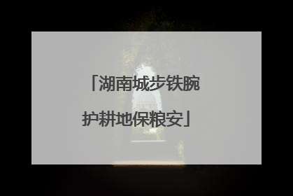 湖南城步铁腕护耕地保粮安