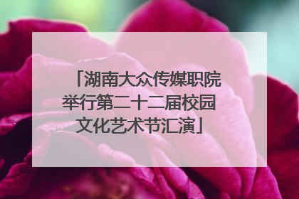 湖南大众传媒职院举行第二十二届校园文化艺术节汇演
