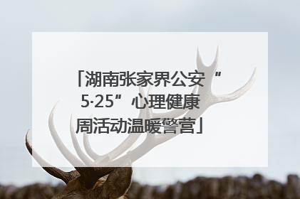 湖南张家界公安“5·25”心理健康周活动温暖警营