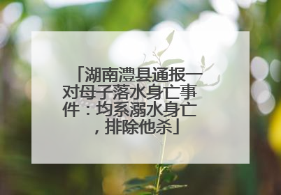 湖南澧县通报一对母子落水身亡事件：均系溺水身亡，排除他杀